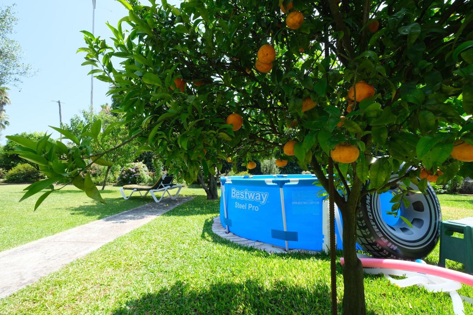 Bed and Breakfast Quintinha D'Avo Vila de Prado Екстер'єр фото