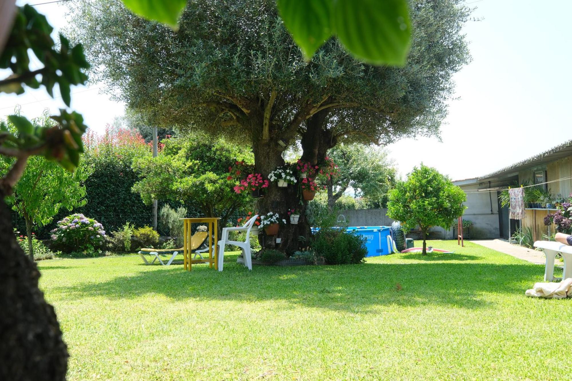 Bed and Breakfast Quintinha D'Avo Vila de Prado Екстер'єр фото